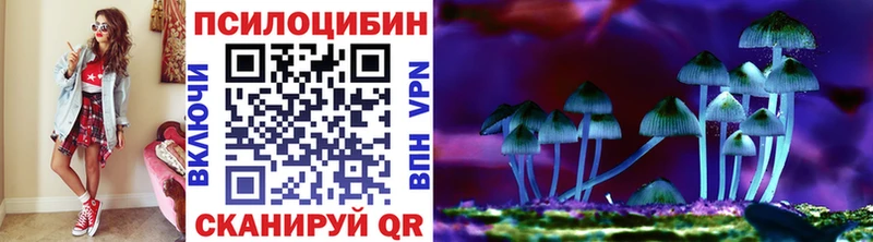 Галлюциногенные грибы Magic Shrooms  купить закладку  Светогорск 