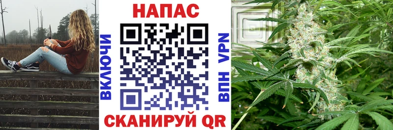 OMG вход  купить   Светогорск  Каннабис Amnesia 